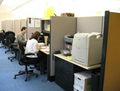 window cubicle workstations